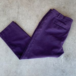 Ann Taylor Ankle Pant (size 14)